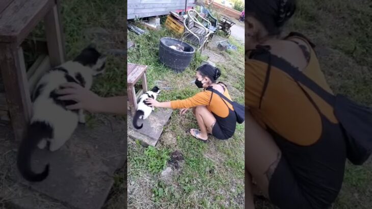 【混浴女子】レディとたま※温泉なし