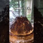 まるで千と千尋の世界な宿がすごかった！ #shorts