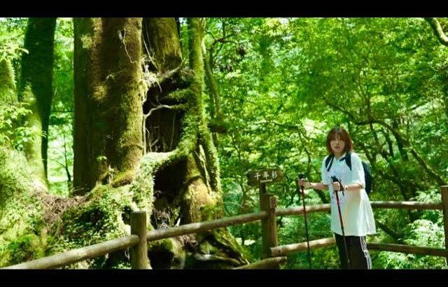 【温泉女子】世界自然遺産の島で屋久杉を堪能からの高級リゾートプールで水着レポート　もののけ姫の聖地　Luxury  Open-air bath #hotspring #japan #airpanas