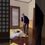 【94歳認知症の祖母に初めて曽孫を見せたら】#shorts