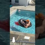 プールがトイレだと思った