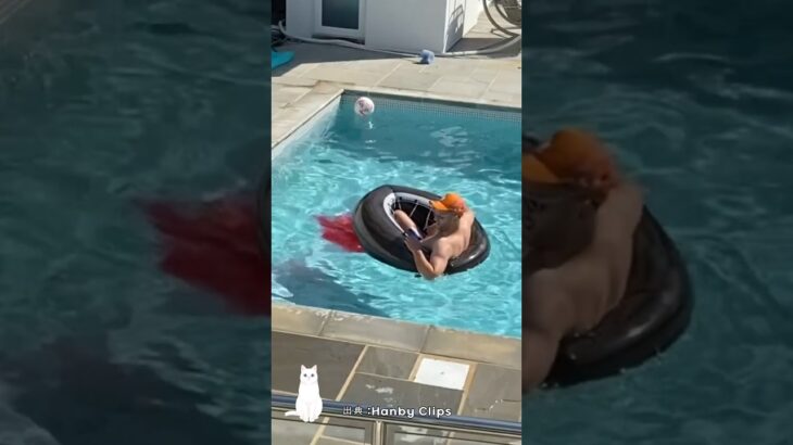 プールがトイレだと思った