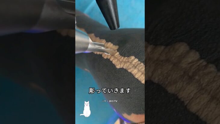 タトゥーを入れる前に必ず見るべき動画
