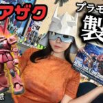 【閲覧注意】シャアになりきってプラモを作った女、3倍では済まなかった【東雲うみ】