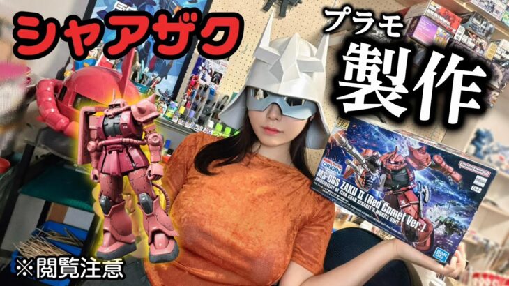 【閲覧注意】シャアになりきってプラモを作った女、3倍では済まなかった【東雲うみ】