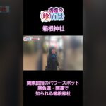 箱根神社で開運パワーチャージ！⛩️✨平日の昼間が狙い目？🤫